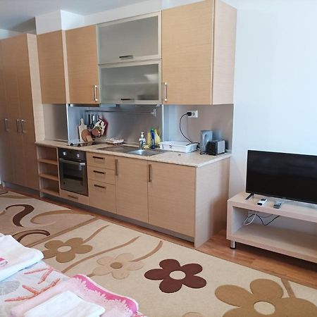 Studio Detelina Residence 班斯科 外观 照片